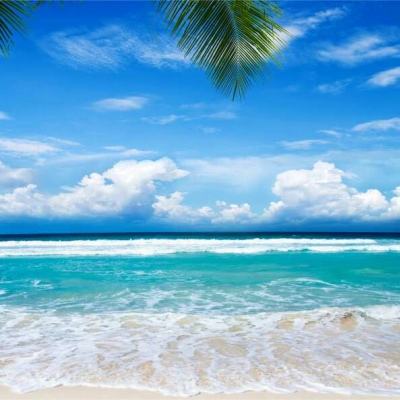 半岛官方APP入口app下载