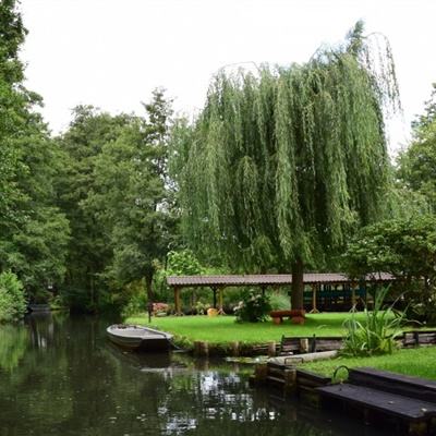 体育皇冠官网下载app